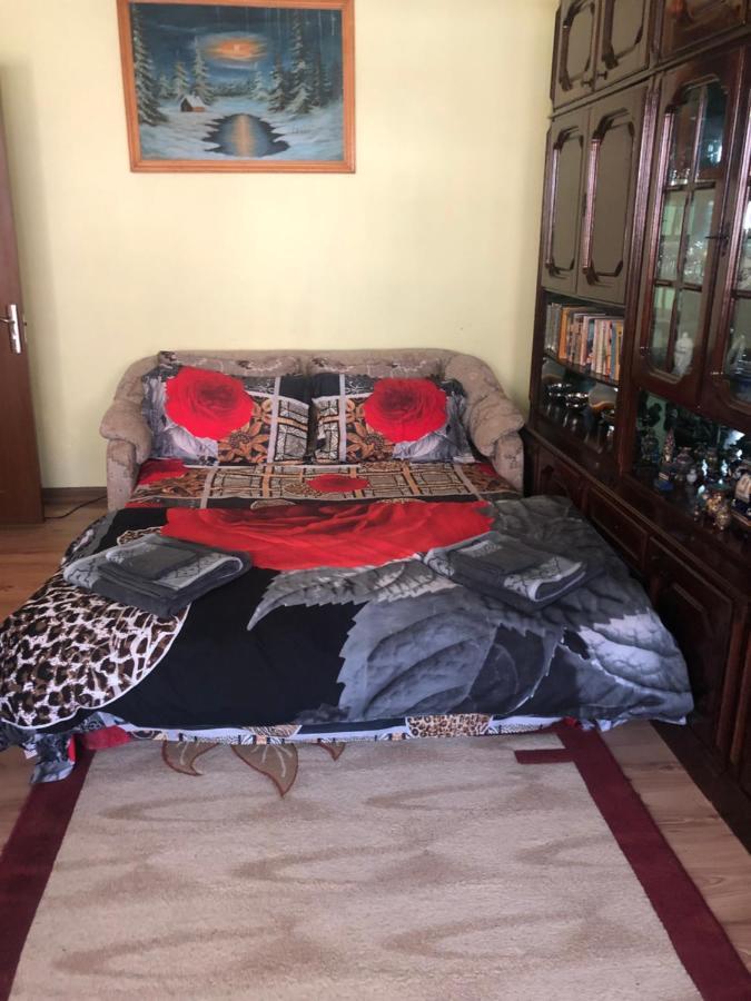 La Symo Apartament Straja Lupeni Lupeni  Exteriör bild