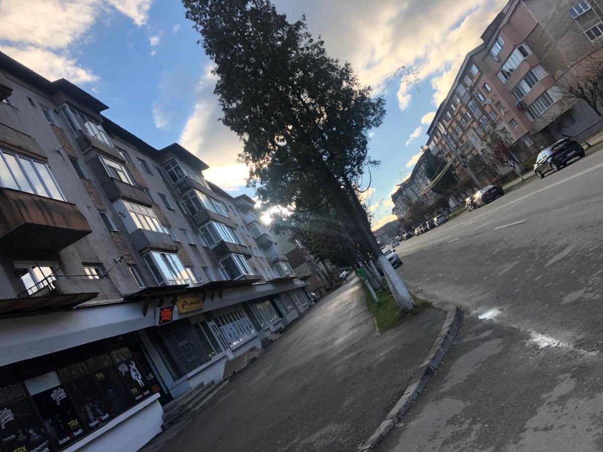 La Symo Apartament Straja Lupeni Lupeni  Exteriör bild